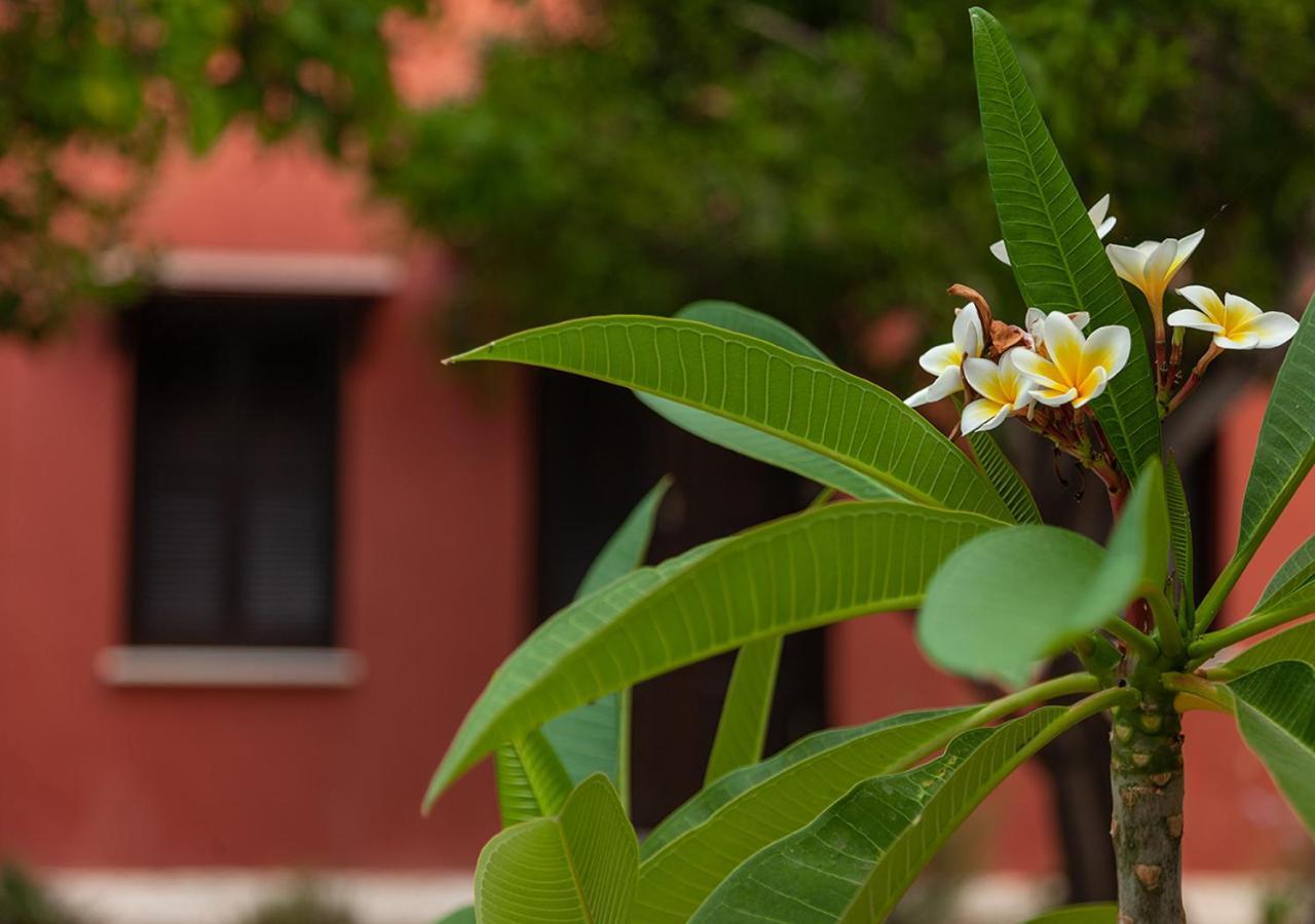 Casa Mespilea Hotel Paphos ภายนอก รูปภาพ